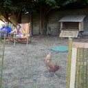 Chiliennes pour tout le monde!