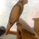 Nichoir pour bord de mer