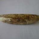 Un petit canoë en broussin de robinier