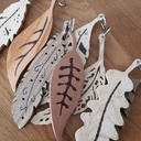 Plumes et feuilles