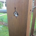 Petit projet d'été, une structure d'entrainement