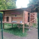 Poulailler sur pilotis