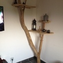 Étagère arbre