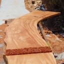 Tableau nature Acajou