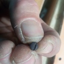 J'ai kraken sur un porte-savon