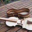 Boite en forme de violon