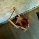 Birgule, la Montbéliarde trotteuse