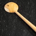 Cuillère en bois d'arbre