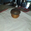 Tournage: petite boite champimignon