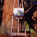 Chevalet de peintre en noyer