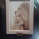 Le lion et la lionne