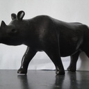 Rhinocéros