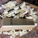 Les vacances ça sert aussi à ça