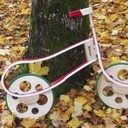 Draisienne d'automne