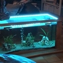 Table basse aquarium
