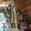 Creatin d'un Arbre à chats