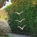 Oiseaux minutes dans une chute carrée #greenwashing #écoconception