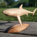 Requin sculpté