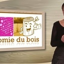 Anatomie du Bois MOOC 2022