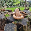 On se met au tournage -:) étude pièce d'après Cindy Drozda