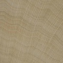 rayon bien visibles sur le charme, plus gros et moins nombreux que sur mon échantillon