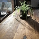 Table en chên massif by Tito. M