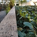 Rambarde cache misère