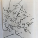 Calque pour traçage plus fin