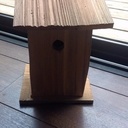 Cabane pour Mésanges bleu