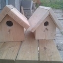 Nichoirs à oiseaux