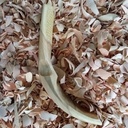 5ème cuillère de 2023 :  Cuillère en peuplier de Colchester.