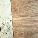 La trouvaille qui fait pas plaisir ...