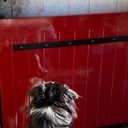 Un petit volet bas pour la porte d'entrée ...!