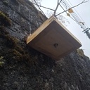 Récupérateur de bonsaï