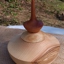 Boite à bijoux en Frêne avec fleuron en Sipo