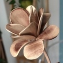 Bouquet Eternelle