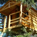 Cabane dans les arbres