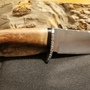 Le platane en fait c'est beau !