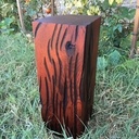 Ultimate défi : La bûche texturée