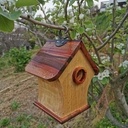 Nichoir à mésanges