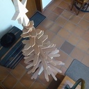 Un sapin sec de plus dans cette forêt !