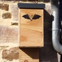 Nichoir à chauve-souris grand modèle