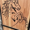 Porte douglas + cadre cheval