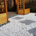 Gloriette pergolas à fleur