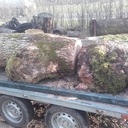 Récupération d'une loupe.