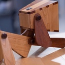 3 chiens qui éclairent.