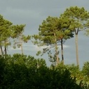 Abris vélos et bois de chauffage