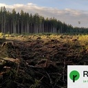 Reporterre - Biokérosène, pellets : ces mégaprojets qui dévorent la forêt