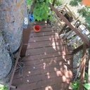 Petit projet d'été: cabane dans les arbres