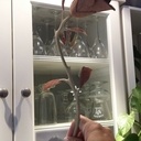 Rose sculptée